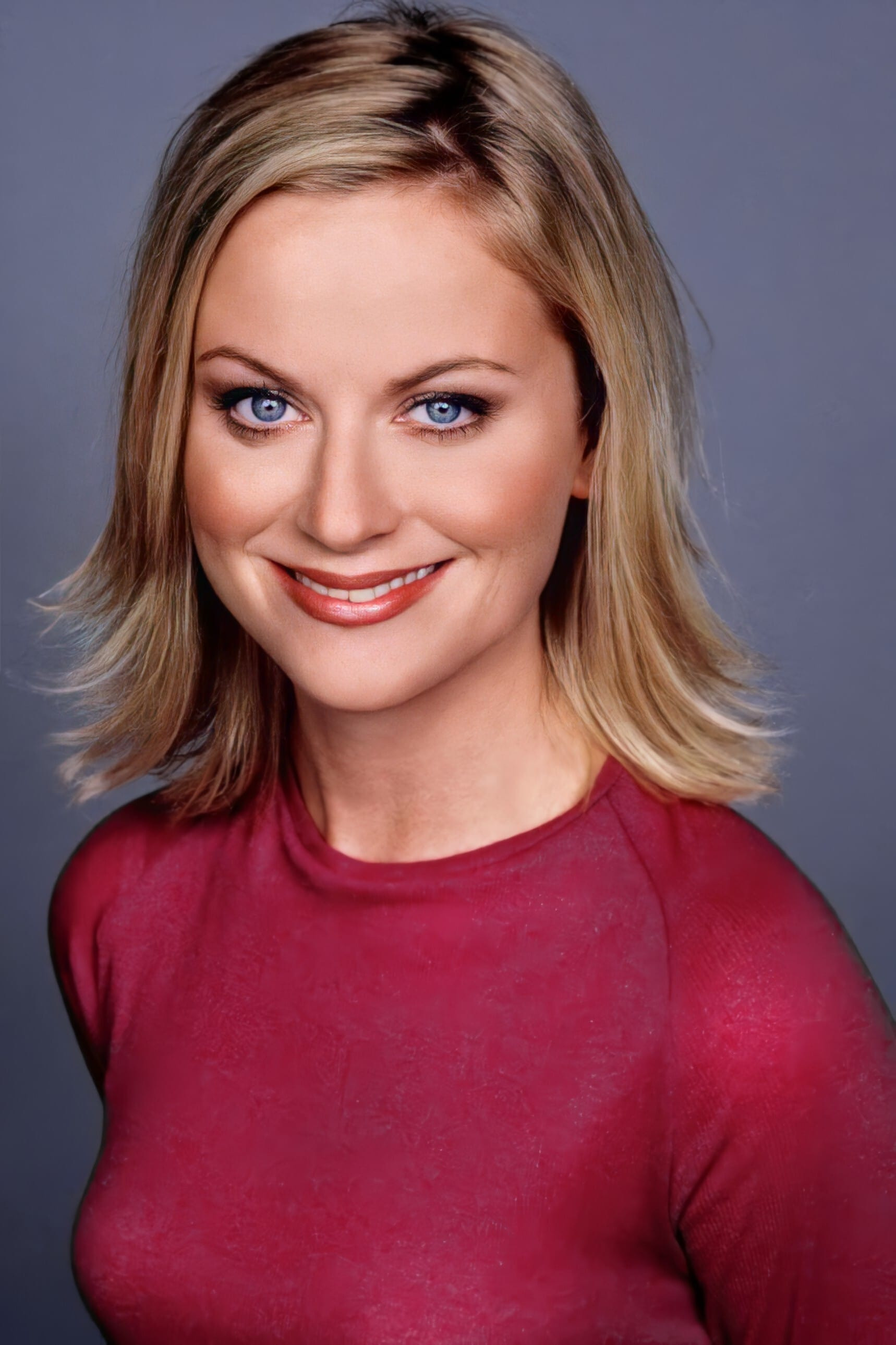 Amy Poehler Fake